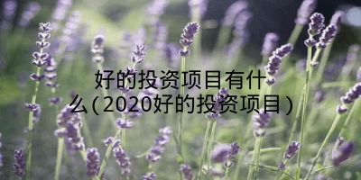 好的投资项目有什么(2020好的投资项目)