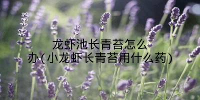 龙虾池长青苔怎么办(小龙虾长青苔用什么药)