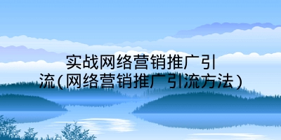 实战网络营销推广引流(网络营销推广引流方法)