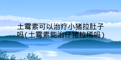 土霉素可以治疗小猪拉肚子吗(土霉素能治仔猪拉稀吗)