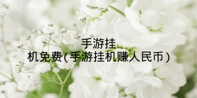 手游挂机免费(手游挂机赚人民币)