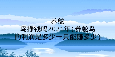 养鸵鸟挣钱吗2021年(养鸵鸟的利润是多少一只能赚多少)