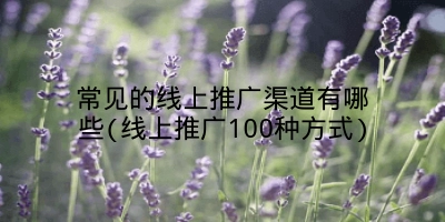 常见的线上推广渠道有哪些(线上推广100种方式)