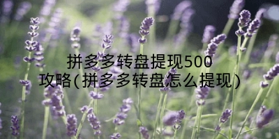 拼多多转盘提现500攻略(拼多多转盘怎么提现)