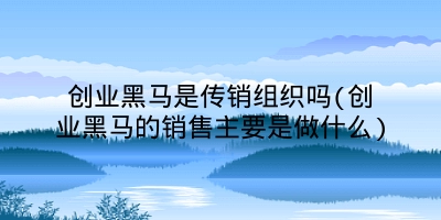 创业黑马是传销组织吗(创业黑马的销售主要是做什么)