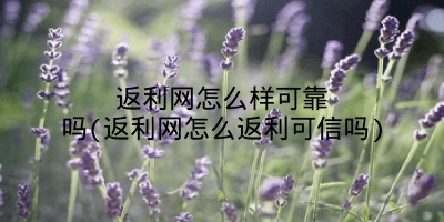 返利网怎么样可靠吗(返利网怎么返利可信吗)