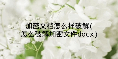 加密文档怎么样破解(怎么破解加密文件docx)