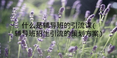 什么是辅导班的引流课(辅导班招生引流的策划方案)