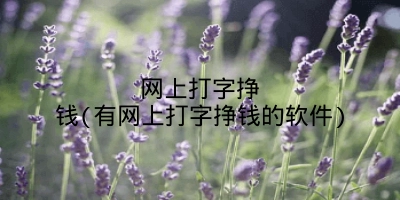 网上打字挣钱(有网上打字挣钱的软件)