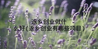 返乡创业做什么好(返乡创业有哪些项目)