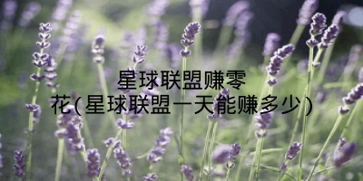 星球联盟赚零花(星球联盟一天能赚多少)