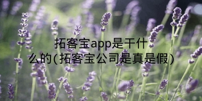 拓客宝app是干什么的(拓客宝公司是真是假)