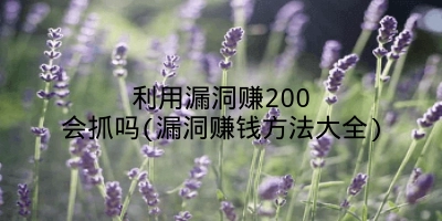 利用漏洞赚200会抓吗(漏洞赚钱方法大全)