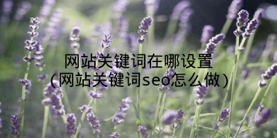 网站关键词在哪设置(网站关键词seo怎么做)