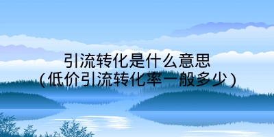 引流转化是什么意思(低价引流转化率一般多少)