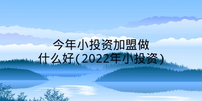 今年小投资加盟做什么好(2022年小投资)