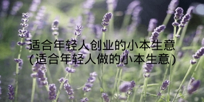 适合年轻人创业的小本生意(适合年轻人做的小本生意)