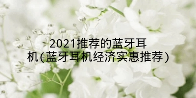 2021推荐的蓝牙耳机(蓝牙耳机经济实惠推荐)