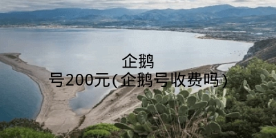 企鹅号200元(企鹅号收费吗)