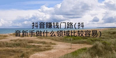 抖音赚钱门路(抖音新手做什么领域比较容易)