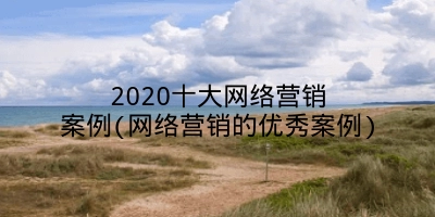 2020十大网络营销案例(网络营销的优秀案例)