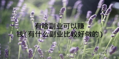 有啥副业可以赚钱(有什么副业比较好做的)