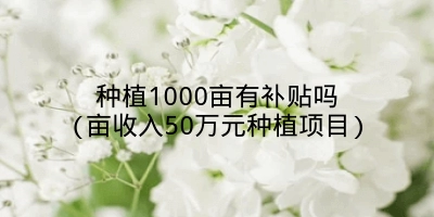 种植1000亩有补贴吗(亩收入50万元种植项目)