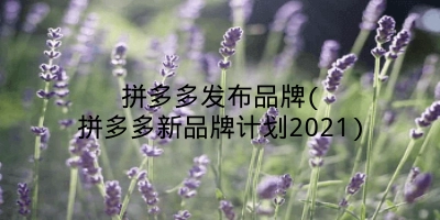 拼多多发布品牌(拼多多新品牌计划2021)