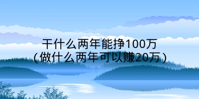 干什么两年能挣100万(做什么两年可以赚20万)