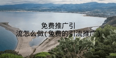 免费推广引流怎么做(免费的引流推广)