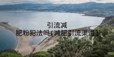 引流减肥粉犯法吗(减肥引流渠道)