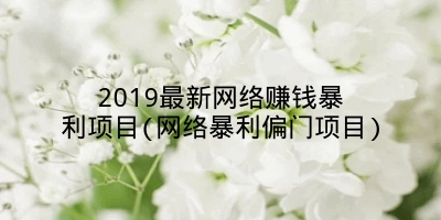 2019最新网络赚钱暴利项目(网络暴利偏门项目)