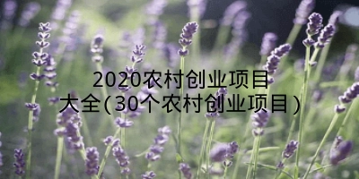 2020农村创业项目大全(30个农村创业项目)