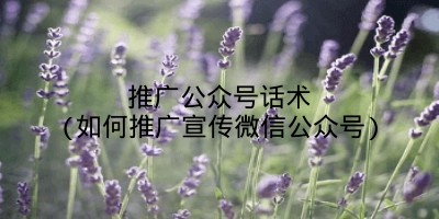 推广公众号话术(如何推广宣传微信公众号)