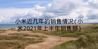 小米近几年的销售情况(小米2021年上半年销售额)