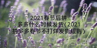 2021春节后拼多多什么时候发货(2021拼多多春节不打烊发货规则)