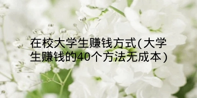 在校大学生赚钱方式(大学生赚钱的40个方法无成本)