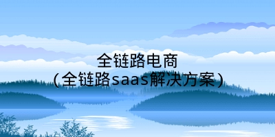 全链路电商(全链路saas解决方案)