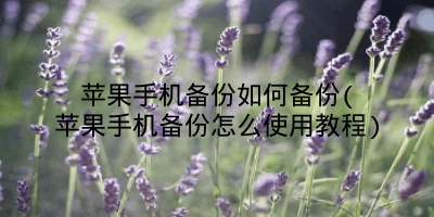 苹果手机备份如何备份(苹果手机备份怎么使用教程)