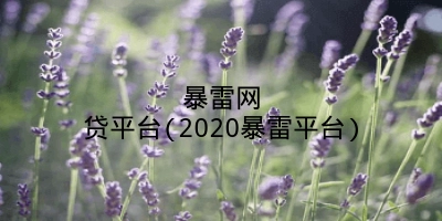 暴雷网贷平台(2020暴雷平台)