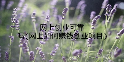 网上创业可靠吗(网上如何赚钱创业项目)