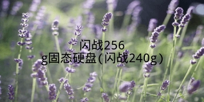 闪战256g固态硬盘(闪战240g)