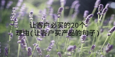 让客户必买的20个理由(让客户买产品的句子)