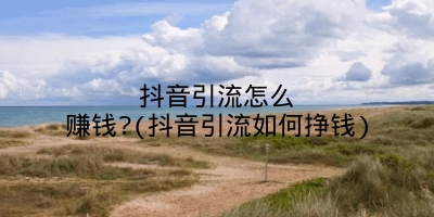 抖音引流怎么赚钱?(抖音引流如何挣钱)