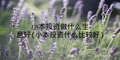 小本投资做什么生意好(小本投资什么比较好)