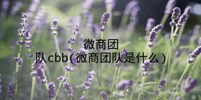 微商团队cbb(微商团队是什么)