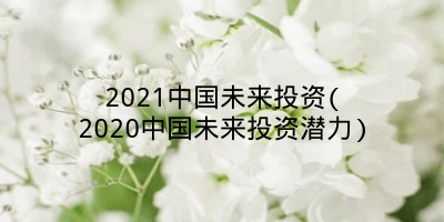 2021中国未来投资(2020中国未来投资潜力)