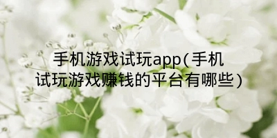 手机游戏试玩app(手机试玩游戏赚钱的平台有哪些)