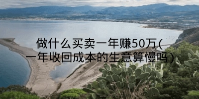 做什么买卖一年赚50万(一年收回成本的生意算慢吗)