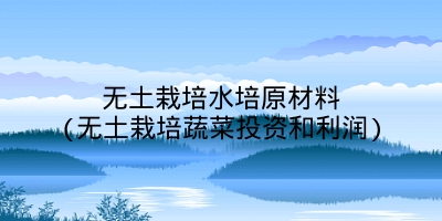 无土栽培水培原材料(无土栽培蔬菜投资和利润)